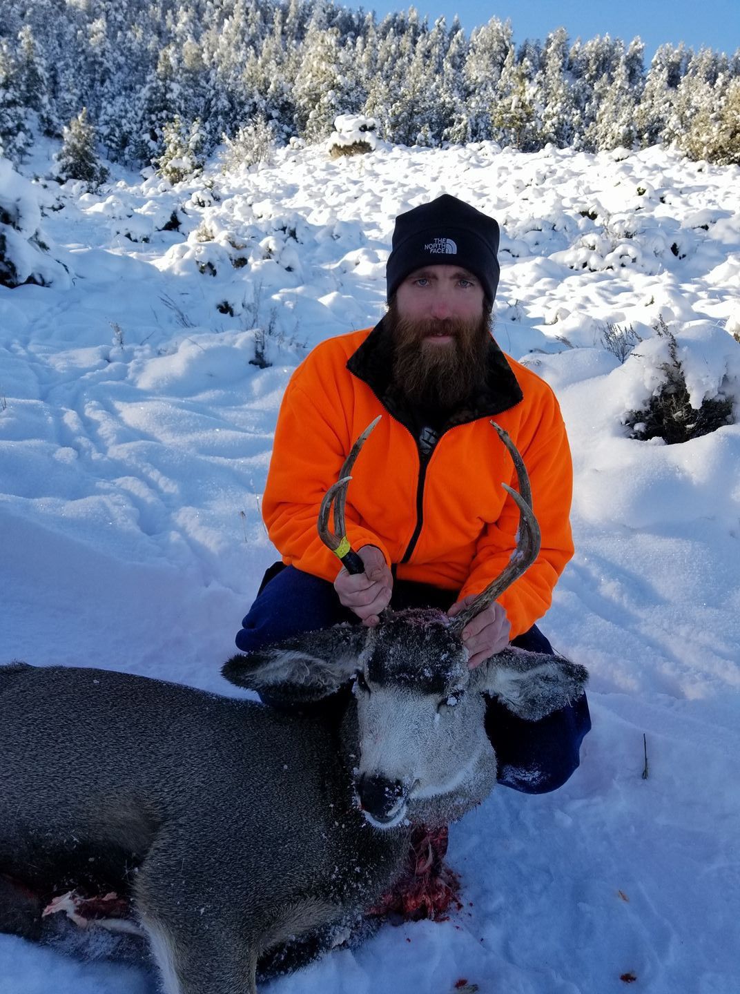 Hunting trophy